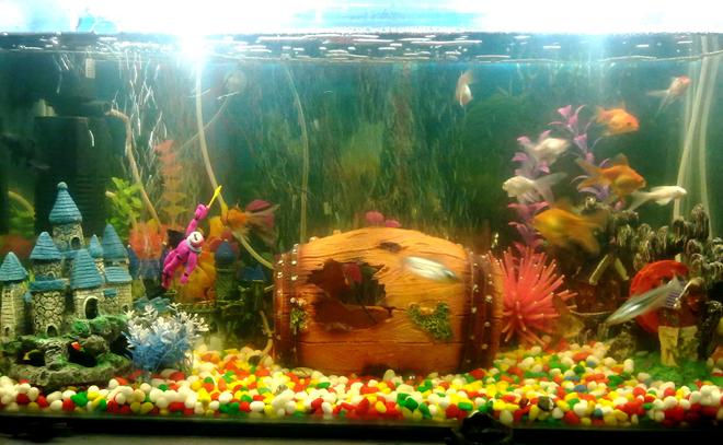 30 gallons freshwater fish tank (mostly fish and non-living decorations) - it is a 30 gallon 2.5 by 1.5 feet dimensions, around 110litres . It has 2 double pumps with one filter.their are 4 decorations with attached air stones and their is one bubble wand also i got a led light along with bubble maker attatched, other are all fake plants included.