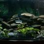 46 gallons freshwater fish tank (mostly fish and non-living decorations) - Just big enough. Simple and easy to care for.