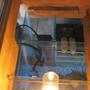 fish tank picture - Under the hood.