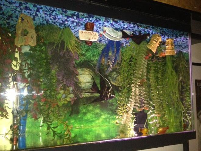 70 gallons freshwater fish tank (mostly fish and non-living decorations) - The centerpiece of my tank are my large veiltail angel and my sailfin plecostomus.  These two fish have so much personality, and their interactions are amazing as they compete for food and for my attention.