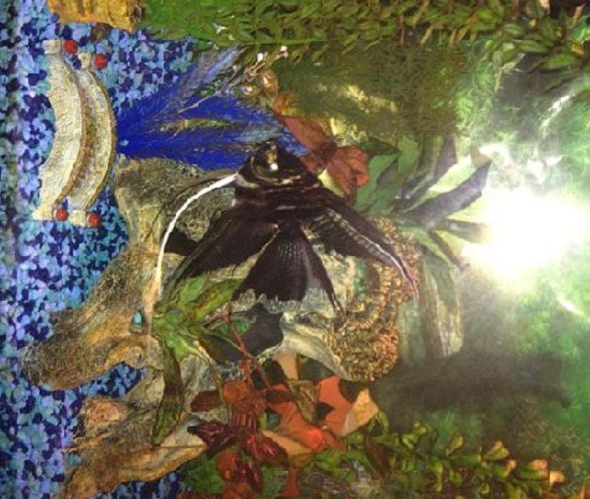 Rated #83: Freshwater Fish - Pterophyllum Sp. - Marble Veil Angel Stocking In 70 Gallons Tank - Here is my large veiltail marble angelfish.  She has lots of personality.