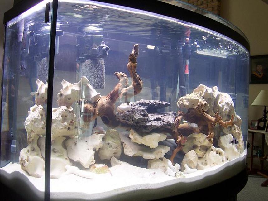 Rated #84: 46 Gallons Freshwater Fish Tank - 46 GAL aGA BOWFRONT