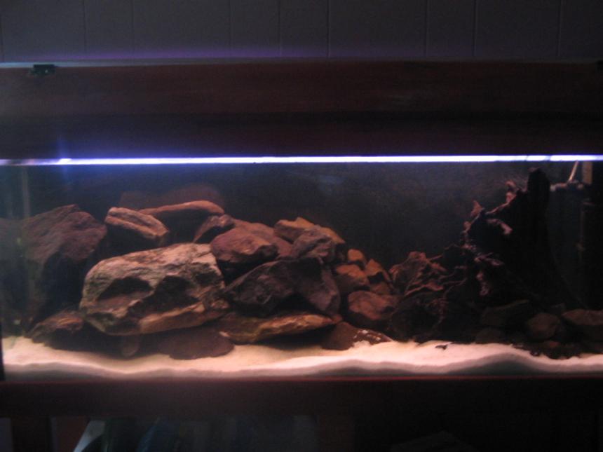 Rated #162: 55 Gallons Freshwater Fish Tank - My soon the be Malawi Tank