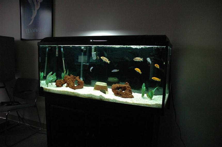 Rated #202: 58 Gallons Freshwater Fish Tank - All African Cichlids. 
Semi Aggressive Tank.
58 Gallon Hagen 120 GeoSystem Kit.
Fluval 404, Magnum 350 with micro filter,AquaClear 70 with quick filter, TurboTwist UV 9w sterilizer.
50 pounds of white aquarium gravel.
Red Lava Rock, plastic plants.