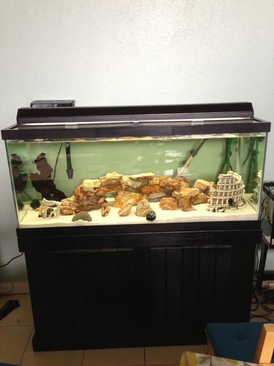 Rated #146: 75 Gallons Freshwater Fish Tank - My main tank