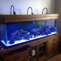 125 gallons reef tank (mostly live coral and fish) - 125 reef tank