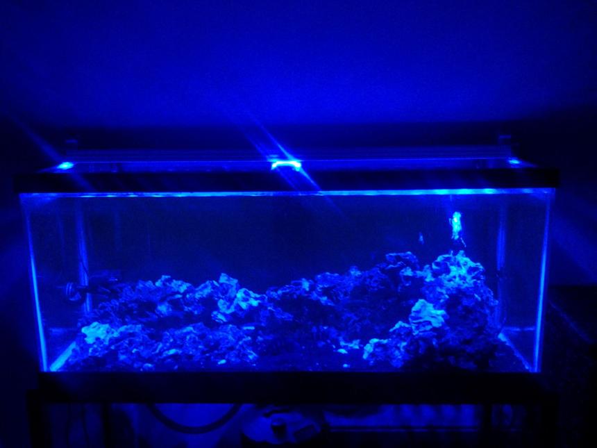 Rated #156: 75 Gallons Freshwater Fish Tank - 75g African Tank