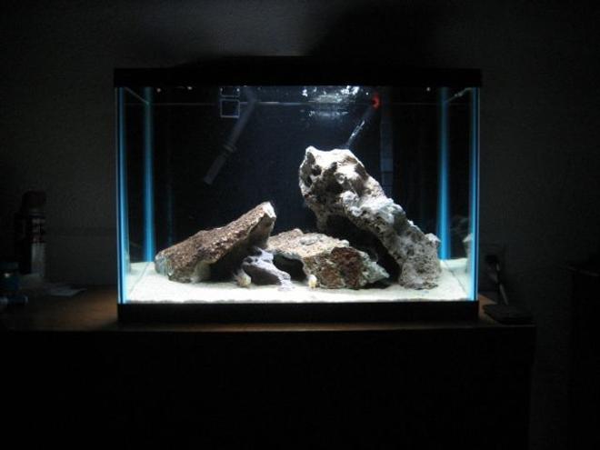 29 gallons freshwater fish tank (mostly fish and non-living decorations) - Sand and rocks, sand and rocks!!