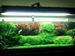 view more best photos of variety 91 gallons tank 
