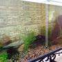 fish tank picture - Different angle.