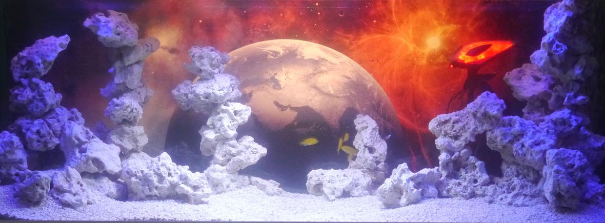 100 gallons freshwater fish tank (mostly fish and non-living decorations) - War of the Worlds theme, 100 gallon tank. Just started populating today, looking forward to where it goes.