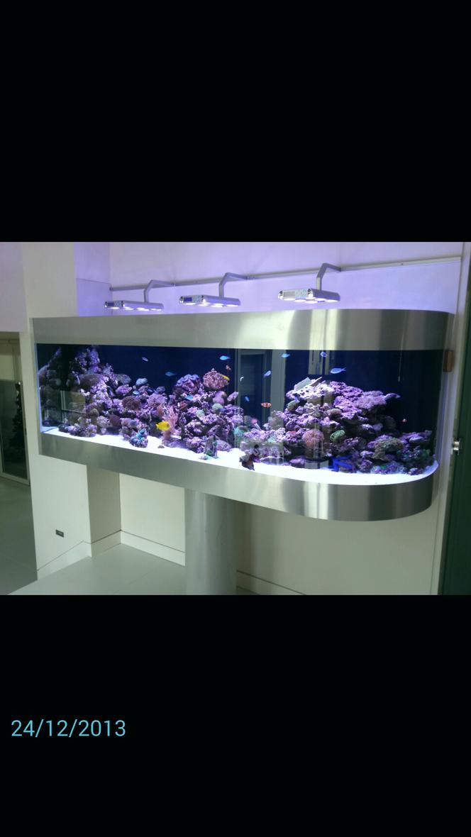 Rated #2: 300 Gallons Reef Tank - Australian reef tank on pole support