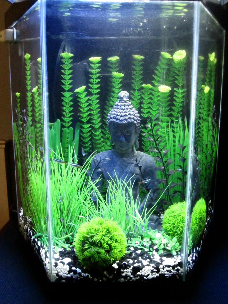 Rated #34: 20 Gallons Freshwater Fish Tank - Black, Green, Grassy, Buddha, Love