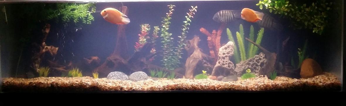 125 gallons freshwater fish tank (mostly fish and non-living decorations) - 125 plexiglass. SunSun canister rated for 200 gallon w/uv 9watt light. 48" fluorescent high quality aquarium light. Fluval powerhead and Eheim heater.