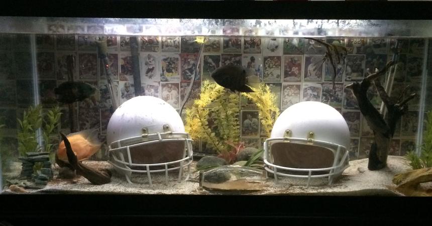 Rated #2541: 75 Gallons Freshwater Fish Tank - Ultimate Football Fan Aquarium!