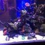 fish tank picture - More