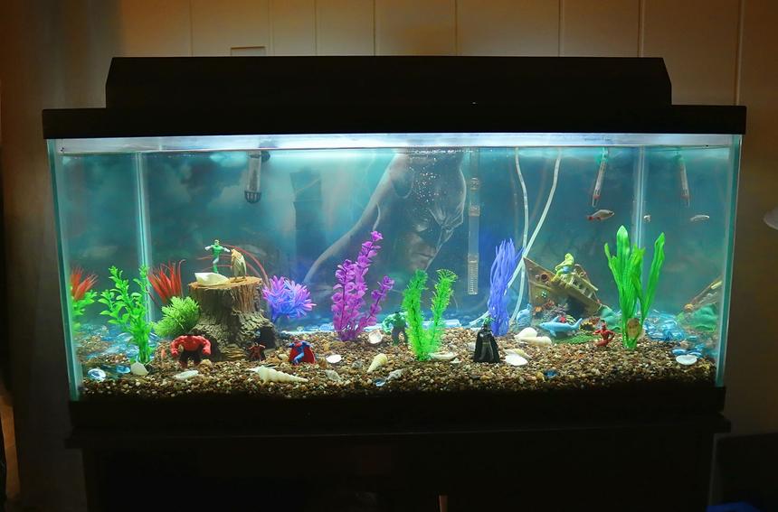 Rated #105: 40 Gallons Freshwater Fish Tank - The Super Hero Fish tank of Minnesota.