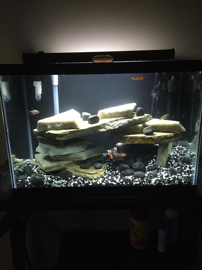 55 gallons freshwater fish tank (mostly fish and non-living decorations) - 20 gal freshwater.  Just some pretty common community fish.