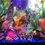 fish tank picture - My other photos of the aquarium.