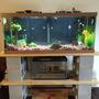 75 gallons freshwater fish tank (mostly fish and non-living decorations) - 75g Tank & Custom Stand!