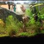 fish tank picture - Full shot