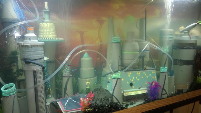 45 gallons freshwater fish tank (mostly fish and non-living decorations) - My space city