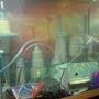 45 gallons freshwater fish tank (mostly fish and non-living decorations) - My space city