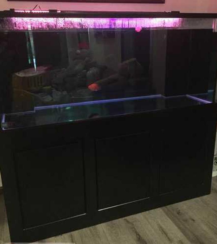 Rated #91: 280 Gallons Freshwater Fish Tank - 121