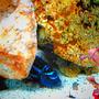 fish tank picture - ...