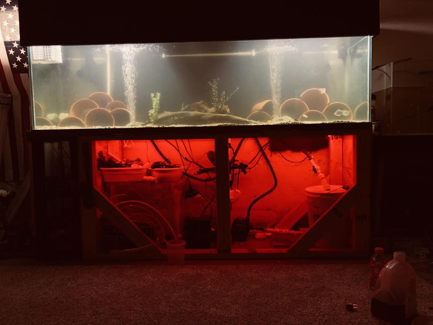 Rated #58: 250 Gallons Freshwater Fish Tank - What do you guys think?