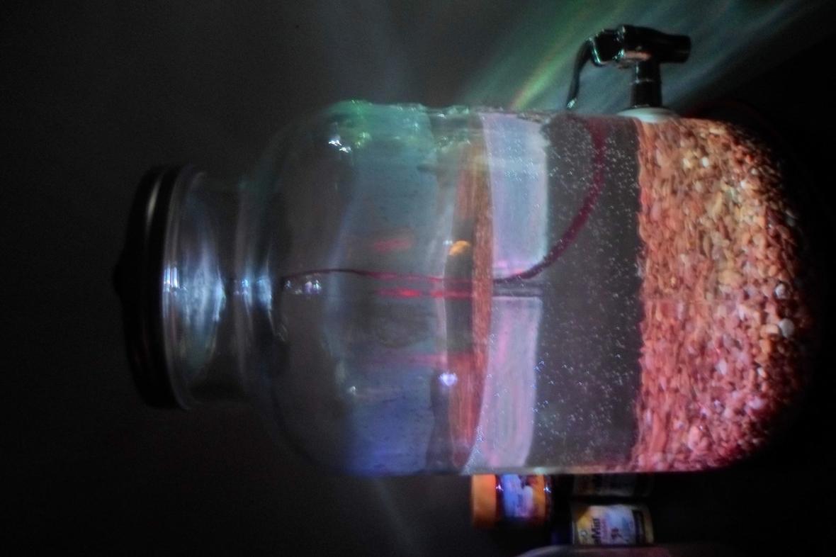 fish tank picture - Just the beginning! 2 gallon dispenser tank