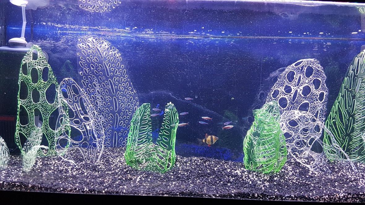 20 gallons freshwater fish tank (mostly fish and non-living decorations) - I'll probably get slaughtered for this but my attempts at growing plants have failed miserably. So, I decided to make my own ornaments from recycled drinks bottles (all certified food safe) shaped using a soldering iron. I'm really impressed with the results and the fish don't appear to mind. Would love feedback.