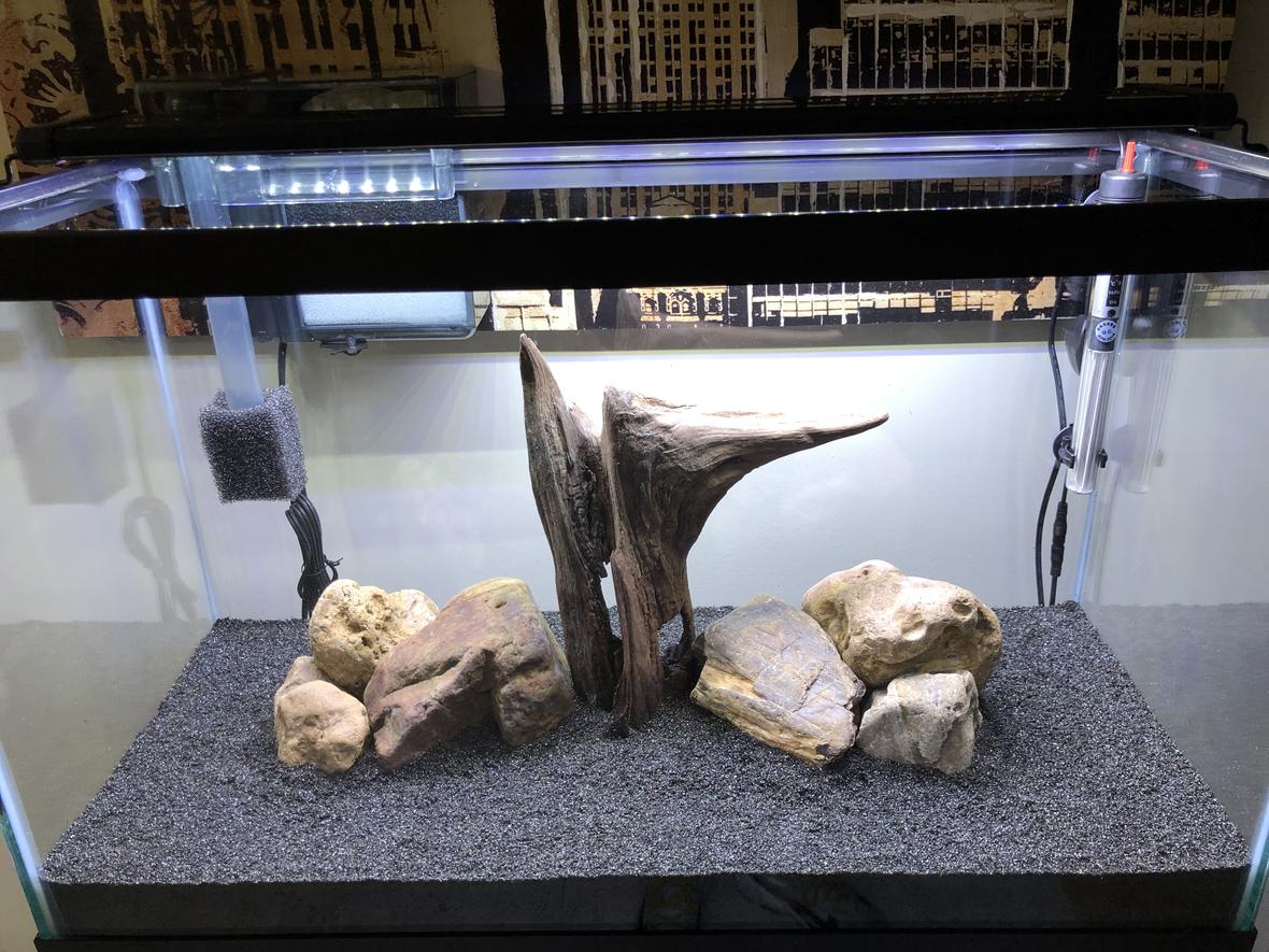 fish tank picture - Please rate this hardscape. Plants will be added once i choose scape. Option 2