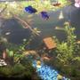 20 gallons planted tank (mostly live plants and fish) - Betta village