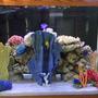 150 gallons saltwater fish tank (mostly fish, little/no live coral) - Front view