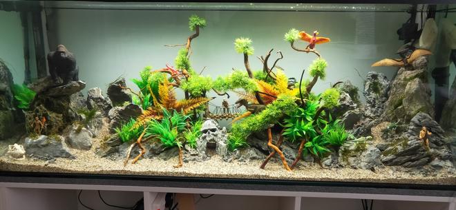 75 gallons freshwater fish tank (mostly fish and non-living decorations) - my tank