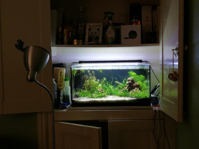 11 gallons planted tank (mostly live plants and fish) - 50 litre tank.