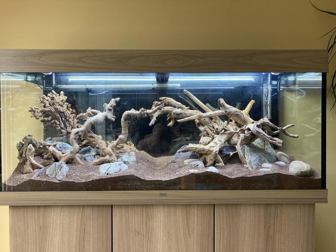 53 gallons planted tank (mostly live plants and fish) - Only hardscaped at the moment .. will update