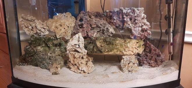 36 gallons saltwater fish tank (mostly fish, little/no live coral) - Liverock set up
