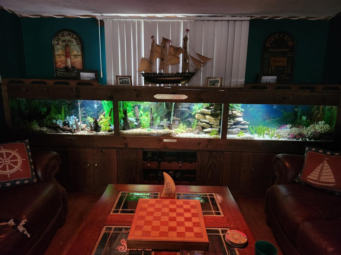 165 gallons freshwater fish tank (mostly fish and non-living decorations) - Amazon River Basin Aquarium. From the upper Amazon in Peru through Columbia and the mangrove area in Brazil to the Ocean and the French Guiana Coral reef just off Brazil