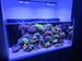 view more best photos of variety 95 gallons tanks 