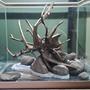 fish tank picture - Hardscape only