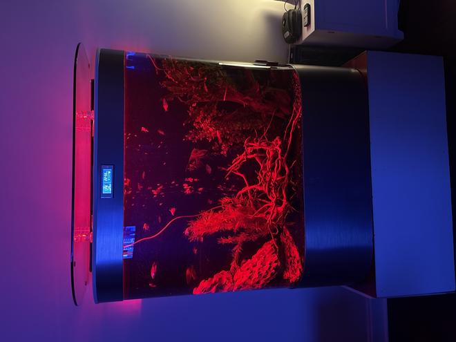 freshwater fish stocking in 46 gallons tank - My perfectly set up for 120