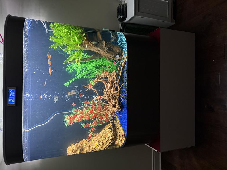 Rated #2: 46 Gallons Freshwater Fish Tank - 100 gallon freshwater