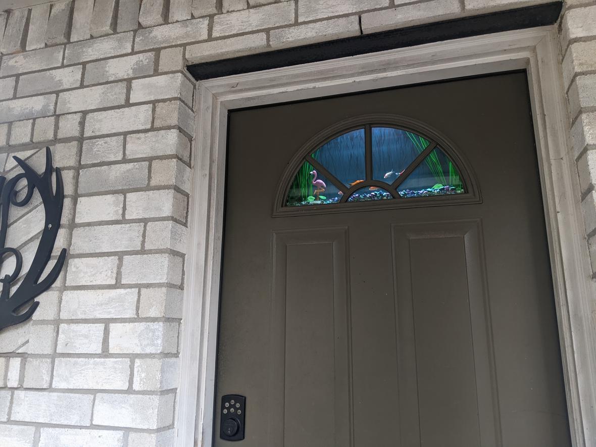 freshwater fish stocking in 4 gallons tank - Nothing special. Recently cleaned and updated some. Still the only one in the world as far as know. Just colorful feeder fish for now