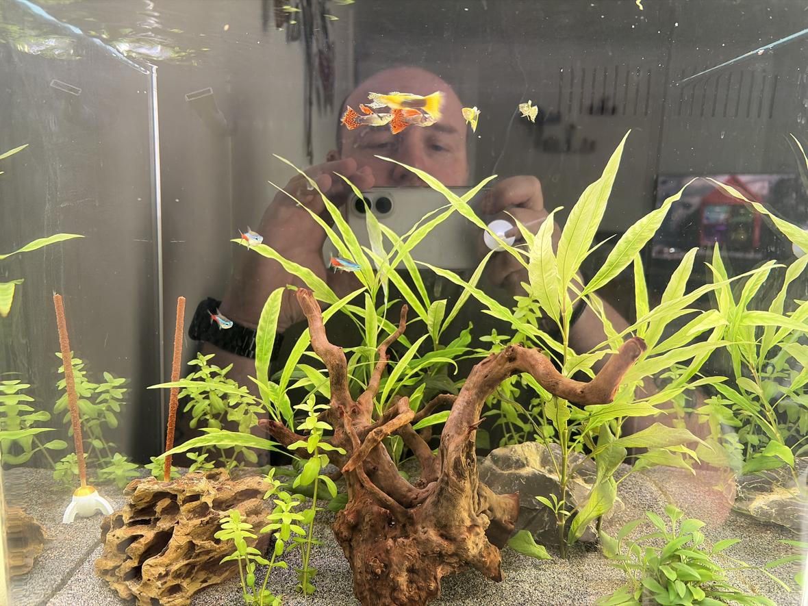 12 gallons planted tank (mostly live plants and fish) - Planted tank