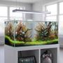 10 gallons planted tank (mostly live plants and fish) - Image2