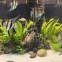 fish tank picture - Hope you enjoy