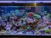 view more best photos of variety 75 gallons tanks 