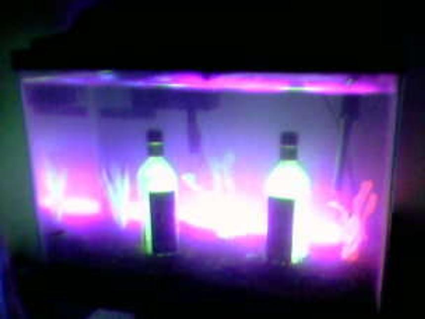 Rated #437: 20 Gallons Freshwater Fish Tank - My blacklight tank... looks great in my college apartment. A holder until I can get more rock and switch to live plants and create a much more natural tank.  (Picture taken with phone, sorry for poor quality!)